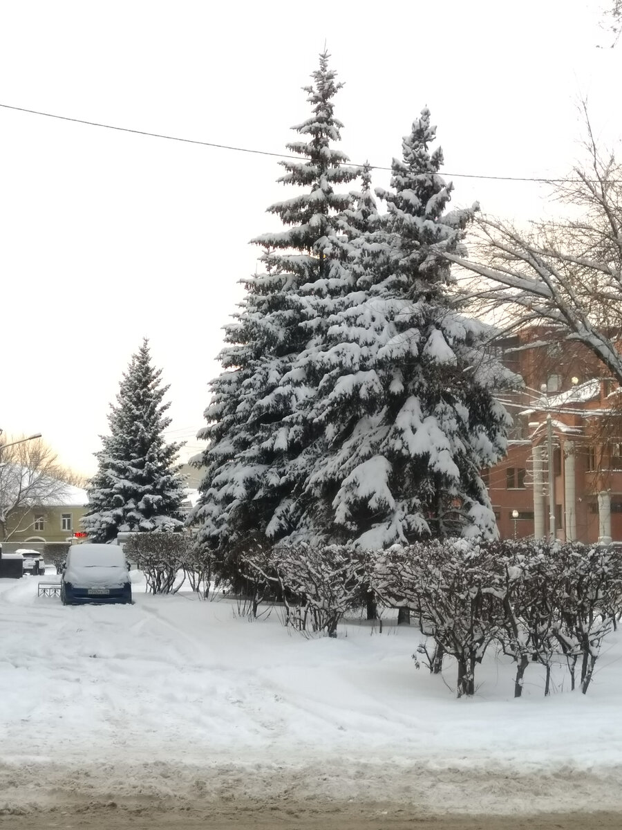 Фото автора. Зима в городе