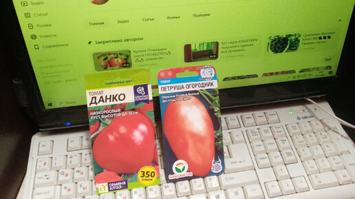 Самые ЛЮБИМЫЕ сорта🍅🍅🍅 Помидор "ДАНКО" и "ПЕТРУША ОГОРОДНИК👍👍👍 ...