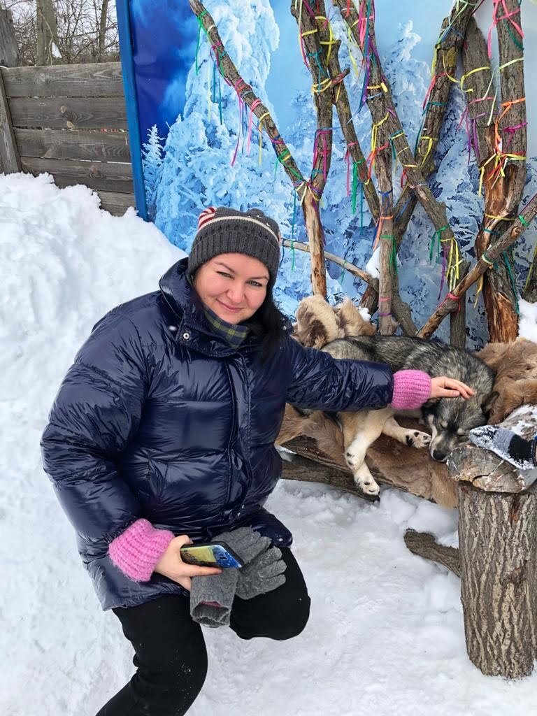 Питомник хаски в Костроме