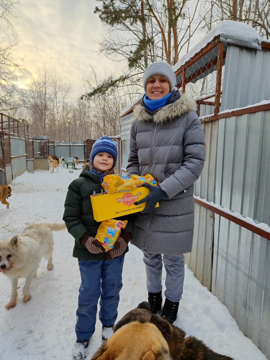 Наш приют для бездомных животных — это место, где каждый может найти себе  верного друга. | Город преданных собак 73 | Дзен