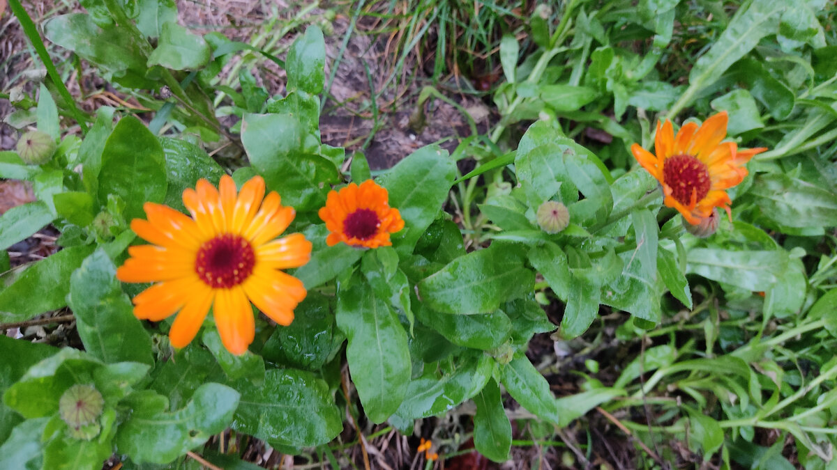 Фото из личного архива