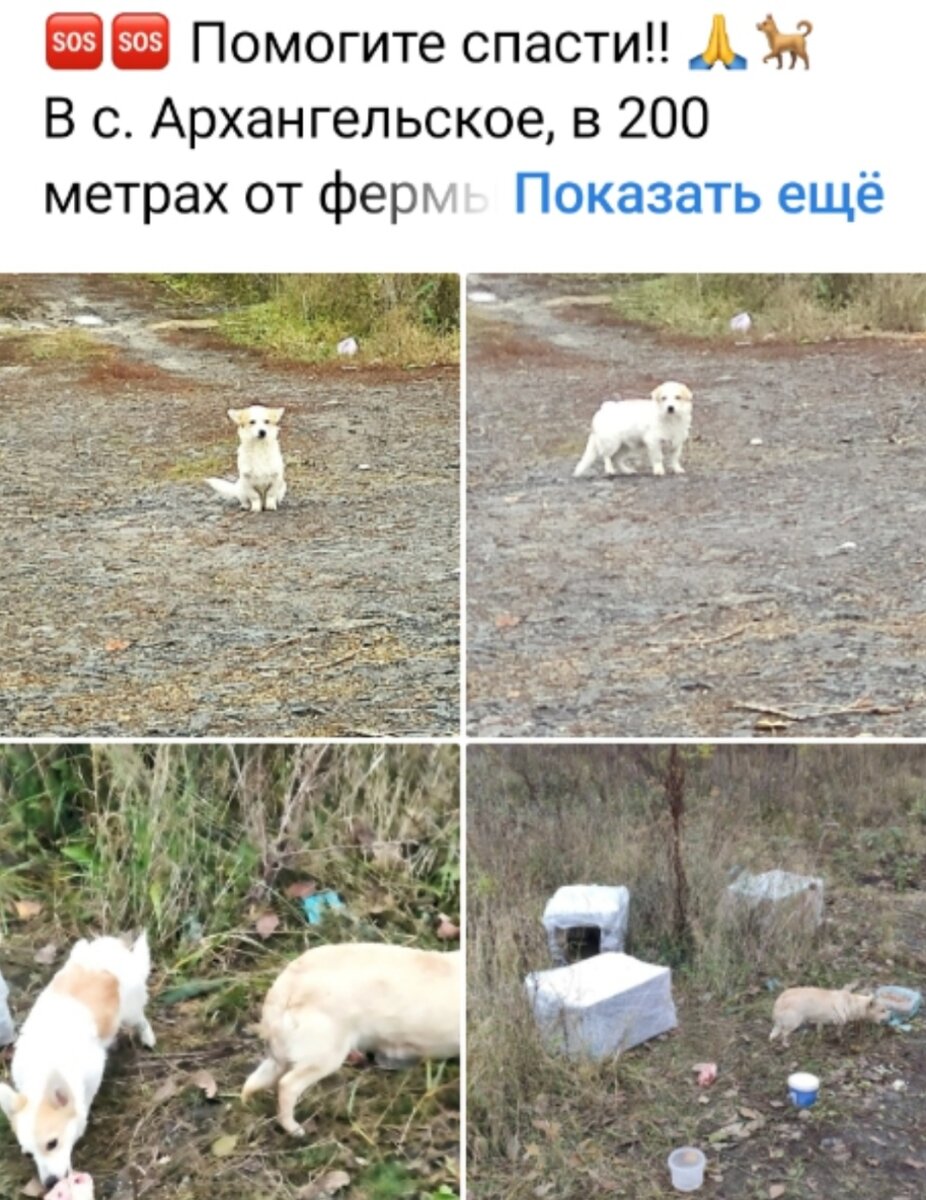 Вот такой пост мы увидели про них впервые