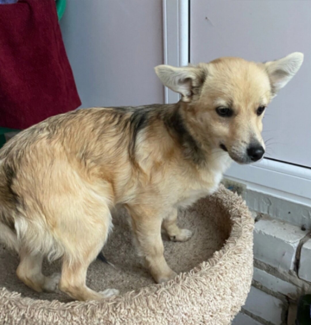 Наши спасеныши. Юта