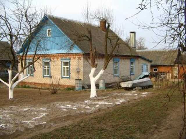 Фото яндекс картинки