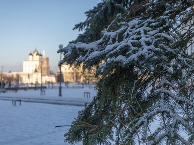     Фото Александра Елисеева