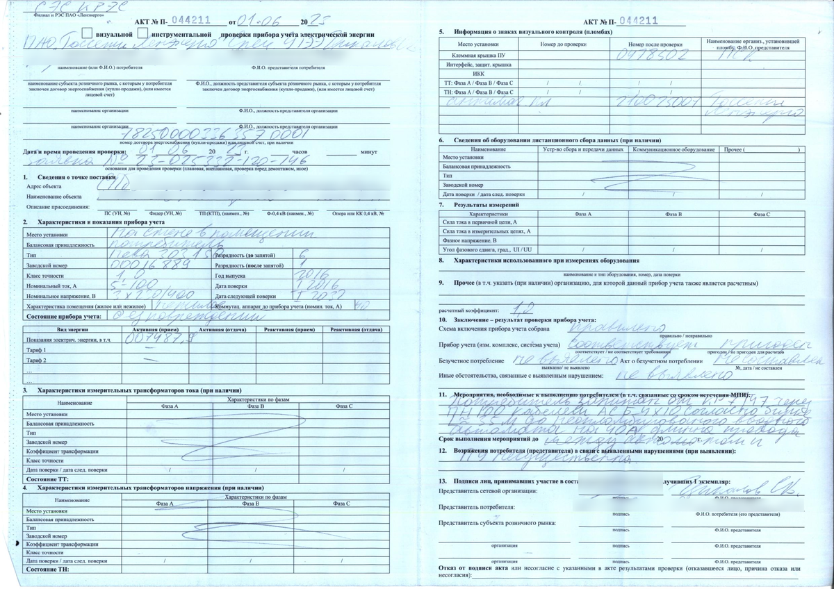 Протокол инструментального обследования образец