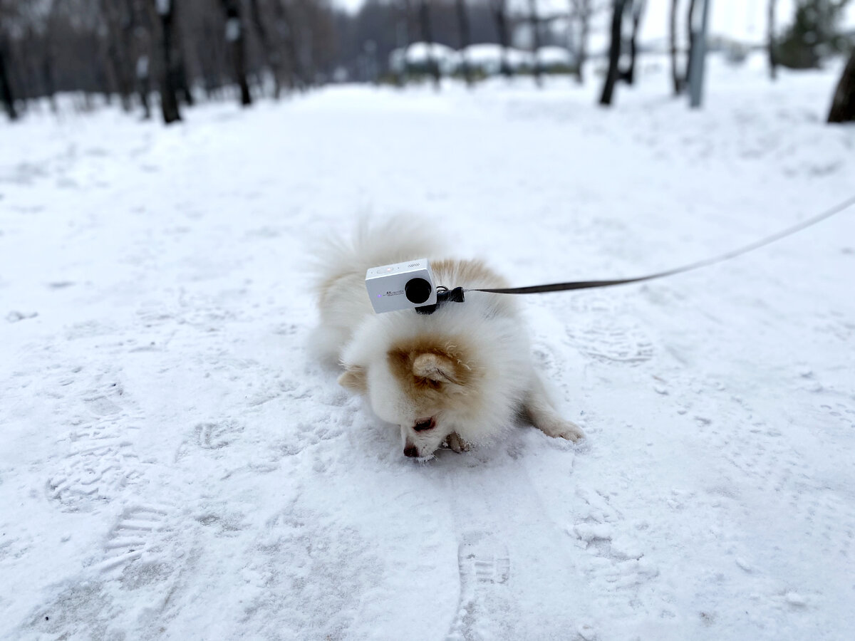 Очень свежий и вкусный. Сегодняшний, хрустящий