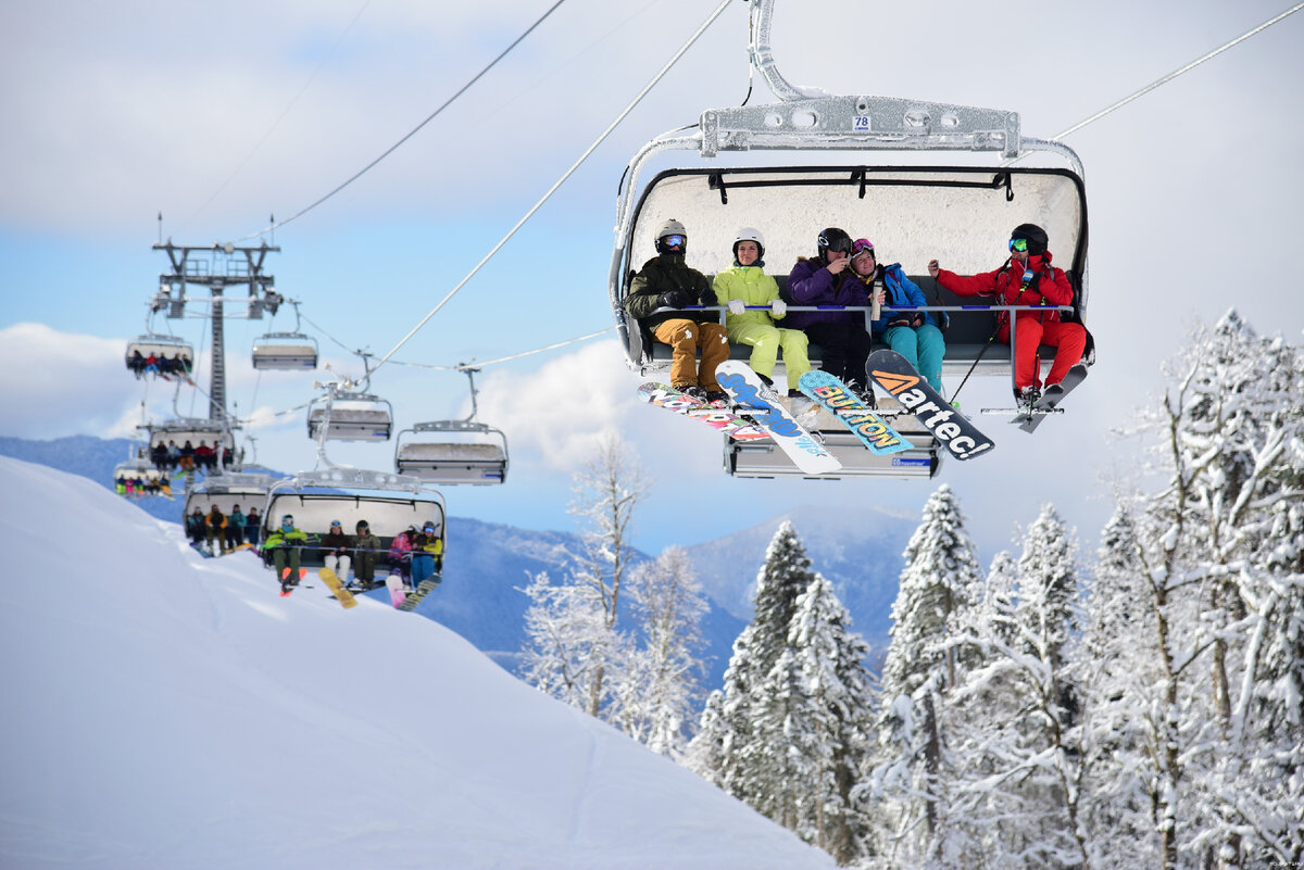 фото из интернет-источника