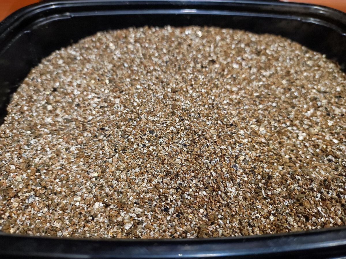 Фото автора, вермикулит, декабрь 2023 года