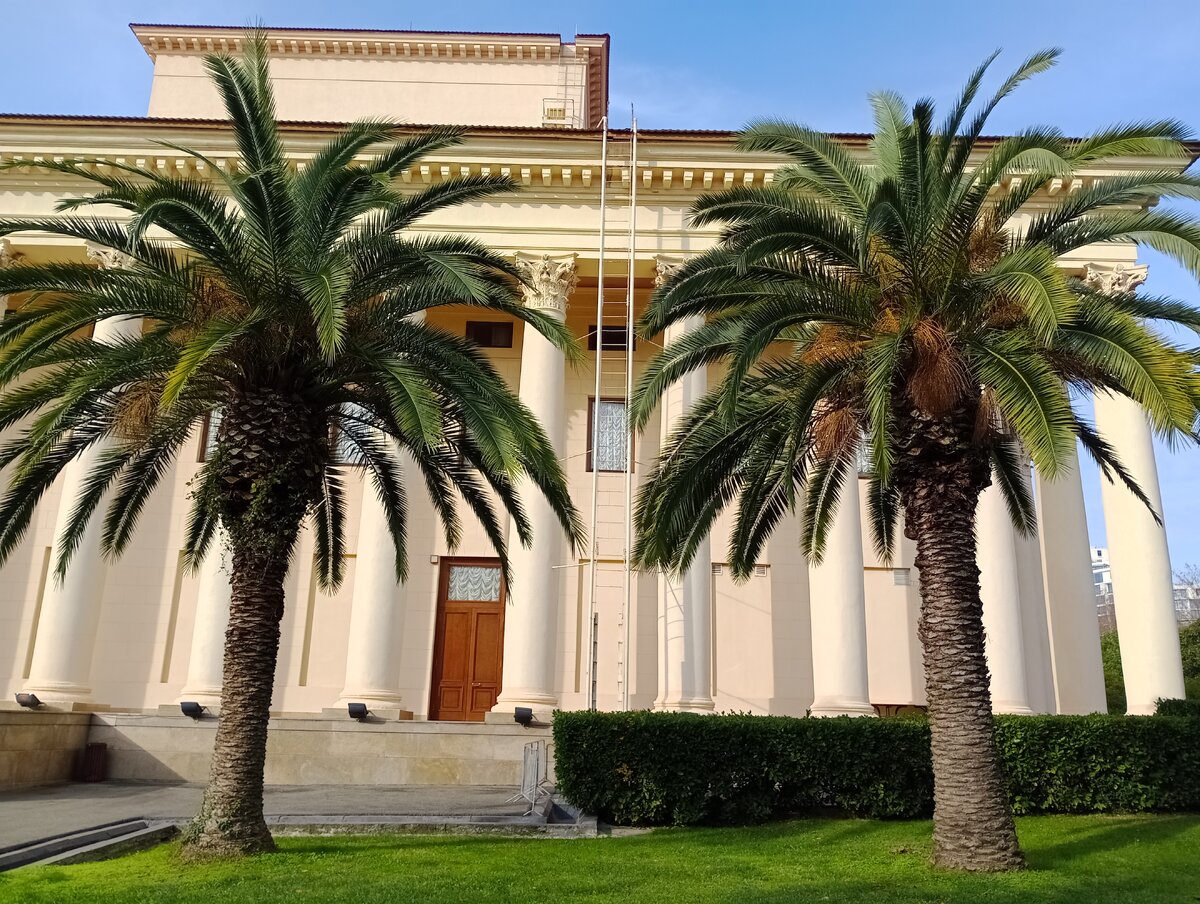 Сочи в декабре. Фото автора