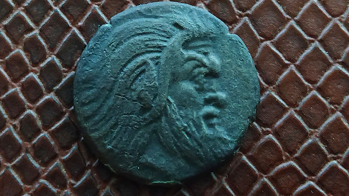 Фото автора.