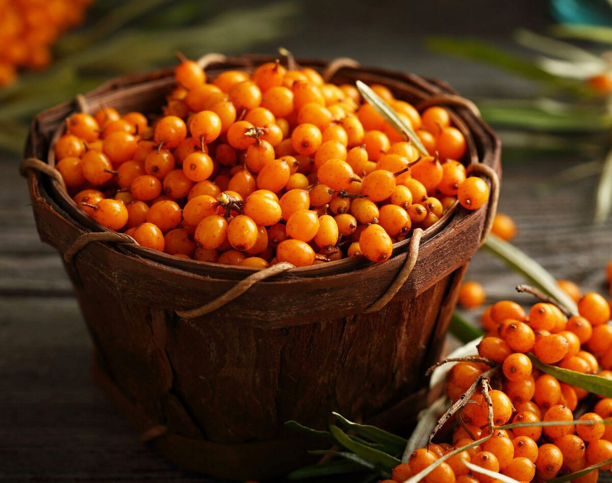 Ягоды облепихи