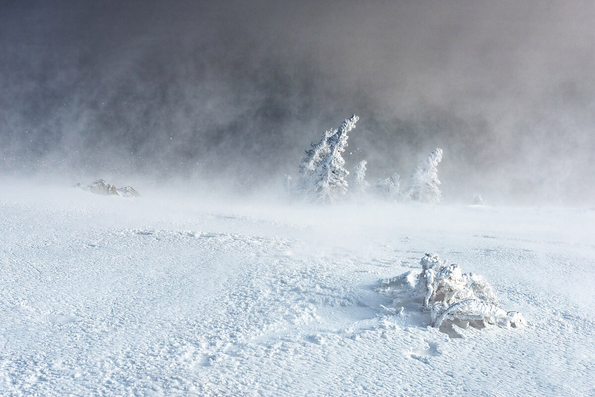 Елена БЕЛОЗОРОВА. РАЗГУЛЯЛАСЬ МЕТЕЛЬ.
