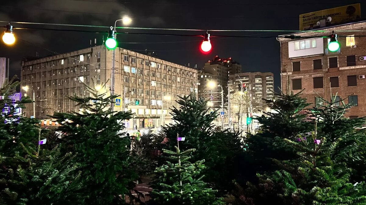     Импортные пихты и ели стоят на новогодних рынках в Ростове в районе 30 тысяч рублей за штуку, выяснил корреспондент RostovGazeta.