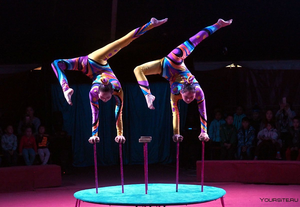 Цирк шари вари ангарск. Цирк дю солей животные. Цирковые номера. Парад алле в цирке. Как называется цирковой.