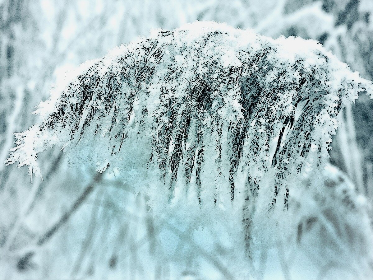 Фото из общедоступных источников, социальной сети ВКонтакте