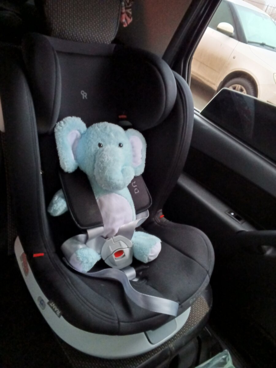 Наш слонёнок, едет по направлению движения автомобиля.