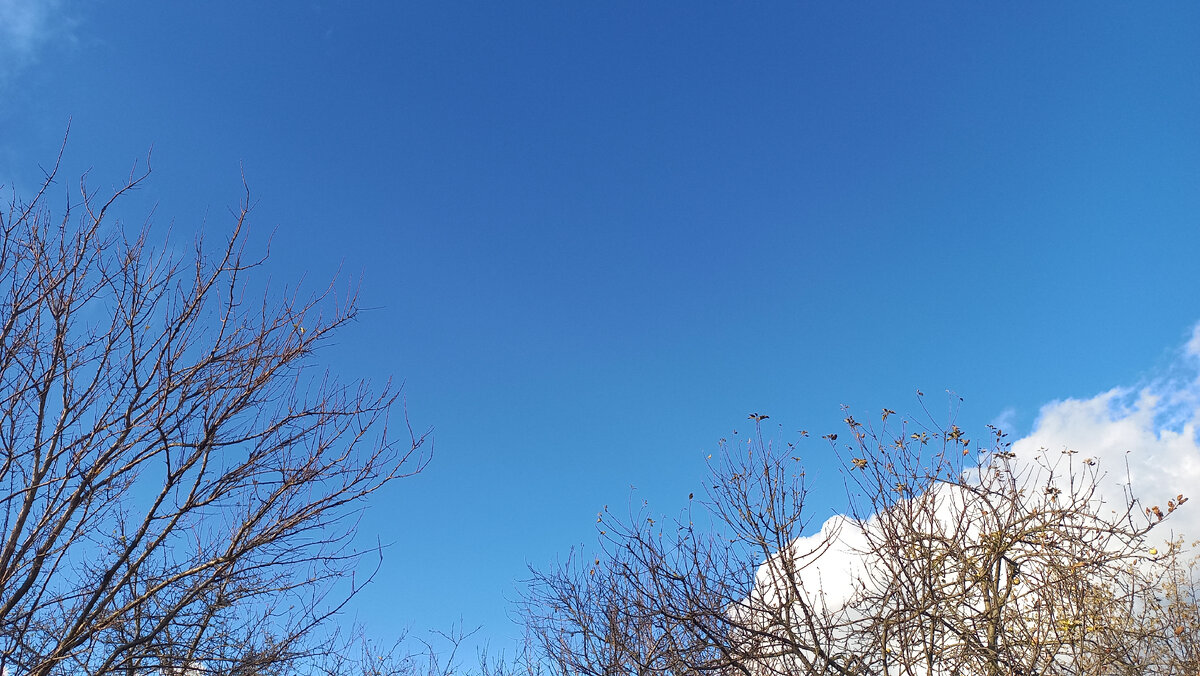 Сегодня было почти безоблачно. Фото автора 