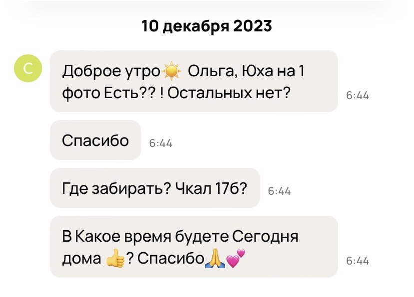 Скрин переписки с сайта Авито