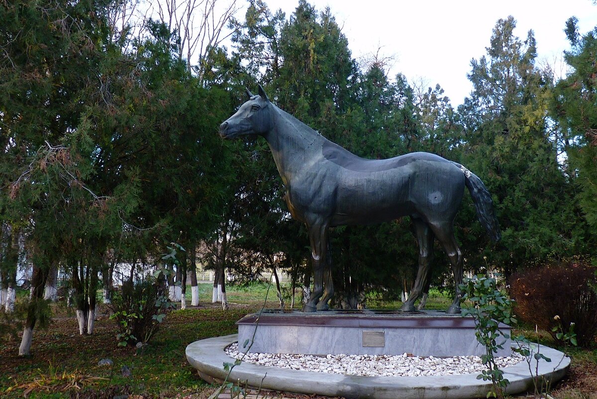 А во дворе стоит величественный и застывший виновник всей этой славы. Подняв голову и навострив уши, он будто вглядывается вдаль. Его мускулы напряжены, и он вновь готов лететь по скаковой дорожке вперёд к своей победе. А может он ждёт его, своего жокея, который как всегда приветливо подойдет, потреплет по гриве, угостит яблоком или ароматным кусочком хлеба и поведет за собой.