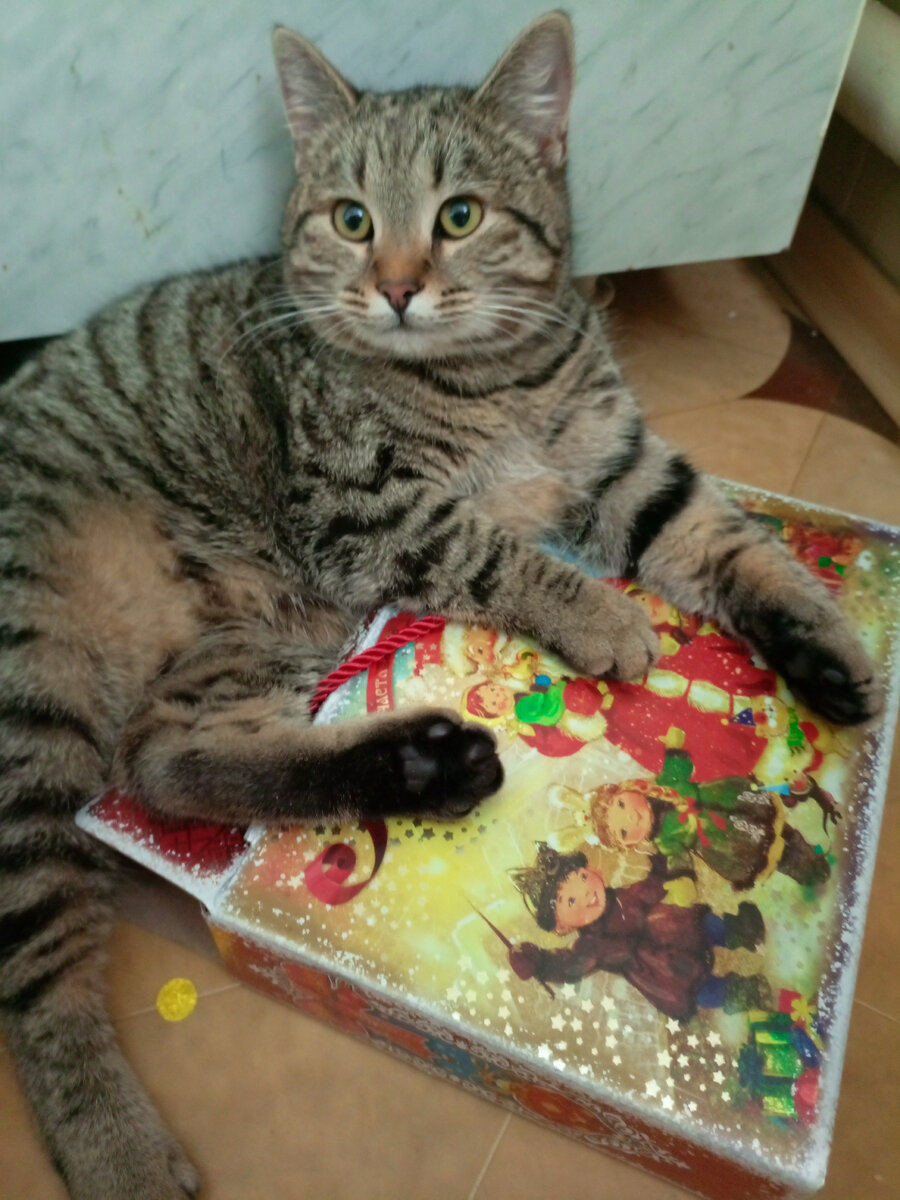 Фотография сделана автором канала