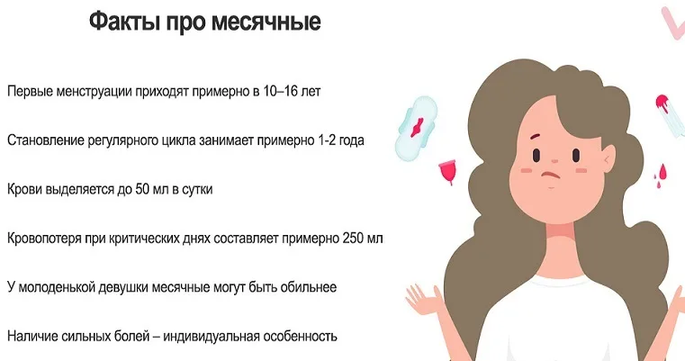 Как должны выглядеть месячные