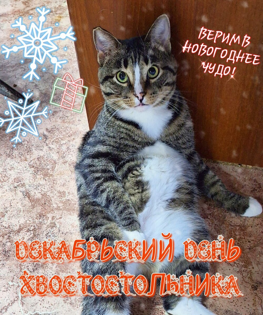 Тинкер. Такой стал красавец.