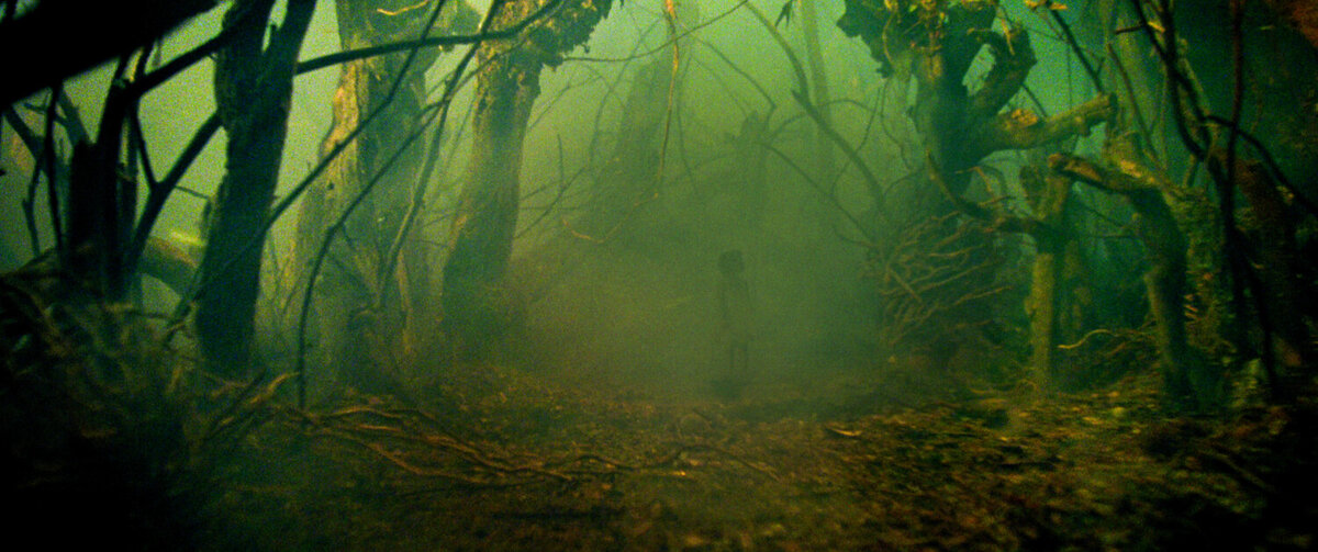 Олимпиада по биологии 11 класс 2020. Сколько прошло с 10 июня 2022. Сколько дней. Сколько прошло с 10 июня 2022. Сколько лет прошло с первого года нашей эры.