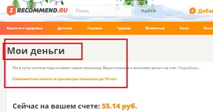 Самозанятость на Айреке. Цена за просмотр повышена. Фото автора