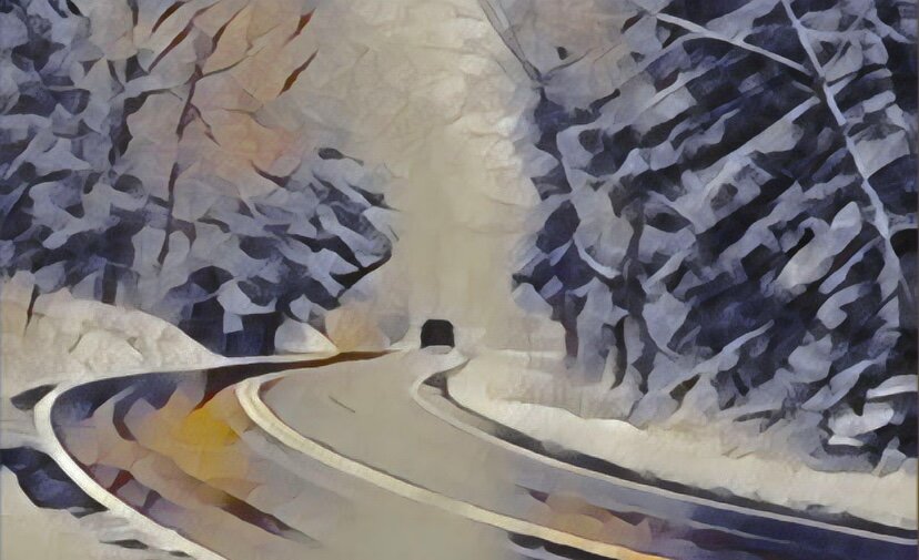 «Если во время празднования Нового Года дело дошло до торта – праздник не удался».(Михаил Задорнов)
