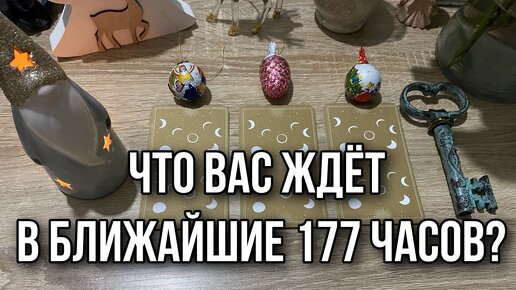 177 часов