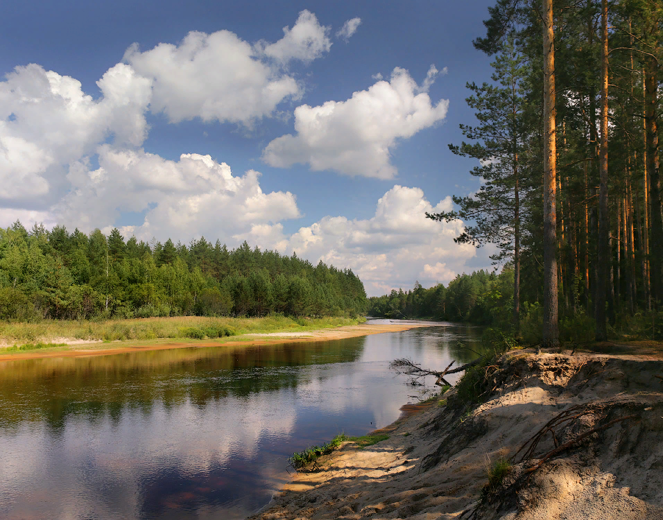 Река Лух. Фото из открытых источников Яндекс.Картинки