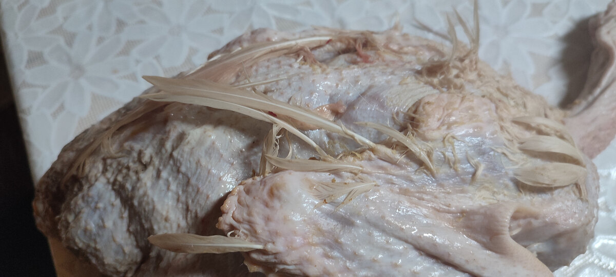 У уток повышенная лохматость 😂😂