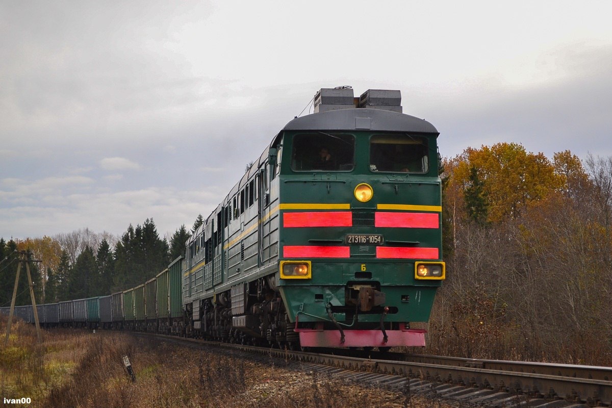 Новгородская область, перегон Добывалово — Валдай, 2015, Автор: Ivan00