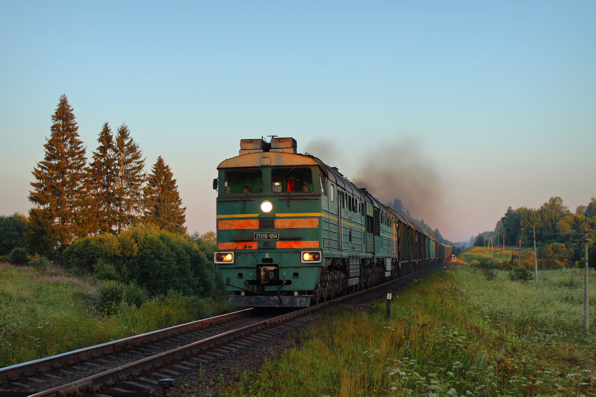 Новгородская область, перегон Волот — Тулебля, 2014, Автор: Dmitriy Vasilev