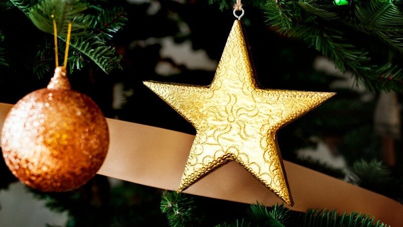 Фото: @rawpixel.com / freepik.com