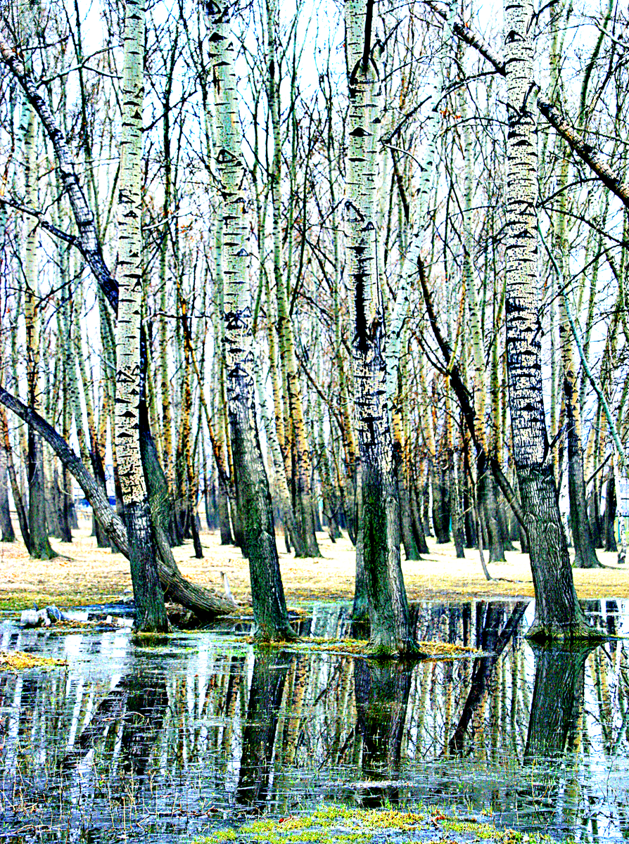 Фотография, стихотворение Василия Глуцкого