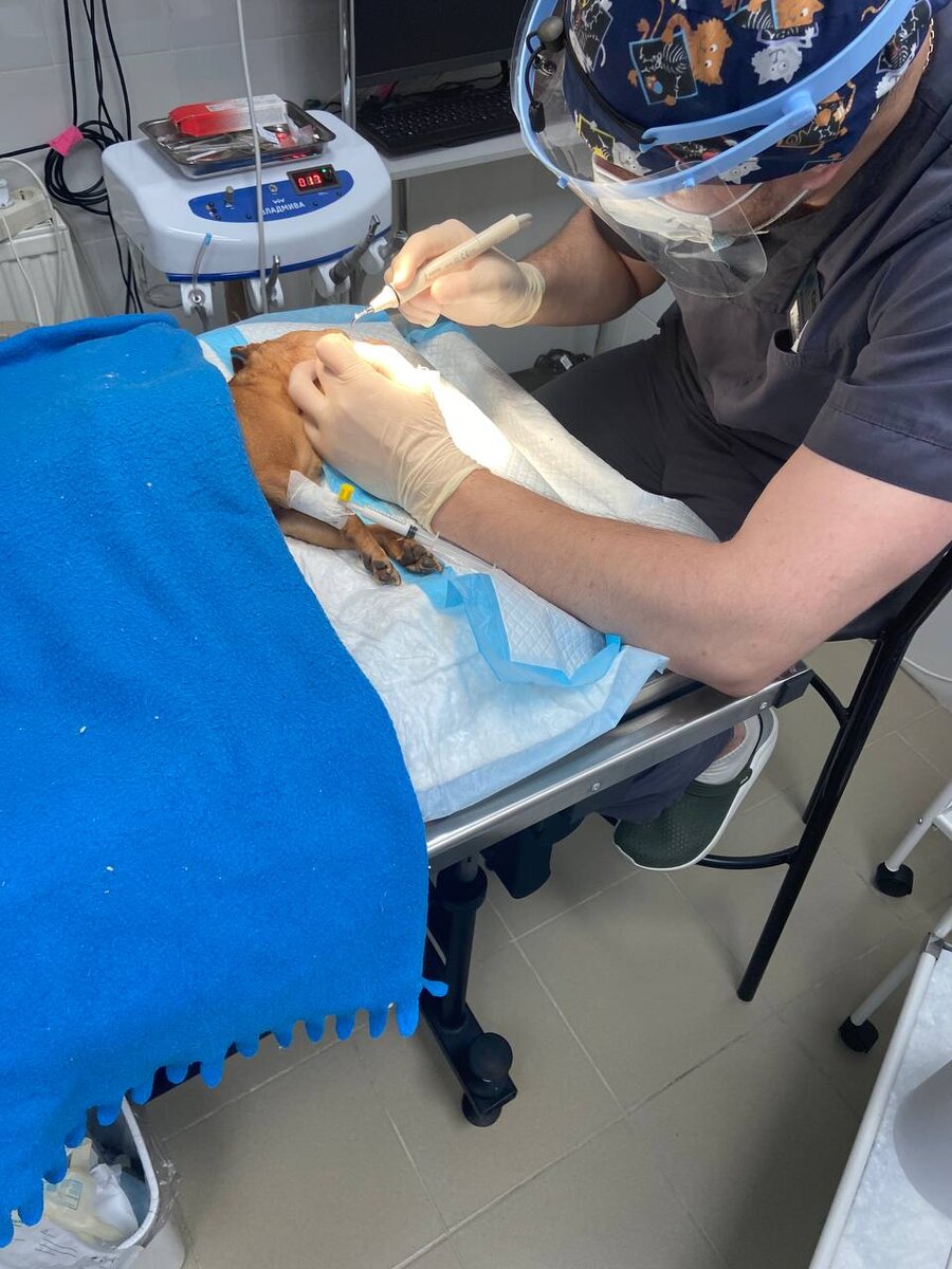 Киященко Андрей Александрович, врач-стоматолог, в процессе работы.