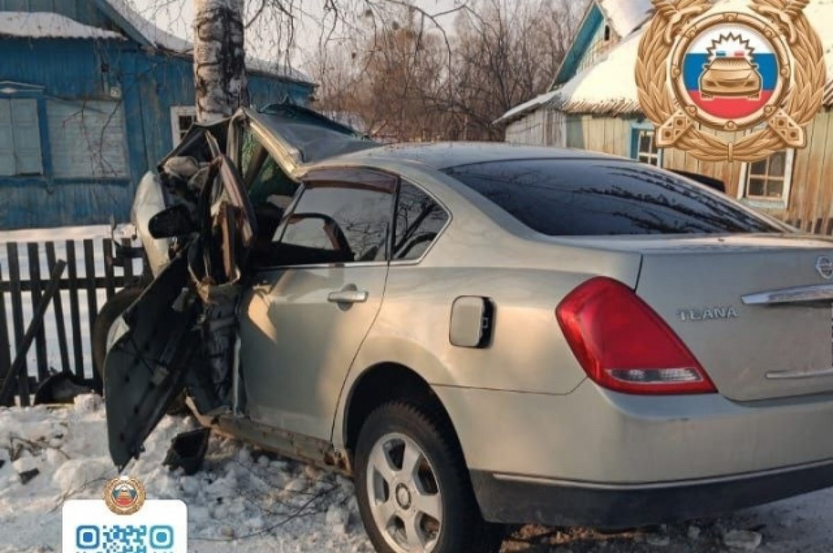 В селе Хабаровского края автомобиль врезался в дерево, пассажир погиб |  Аргументы и факты - Хабаровск | Дзен