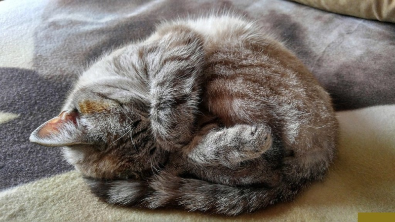 Стиль "Лофт"