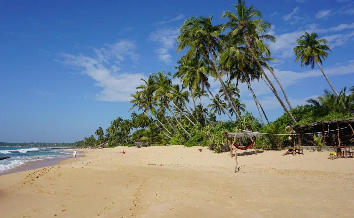    Россияне раскупили практически все авиабилеты на Шри-Ланку на Новый год