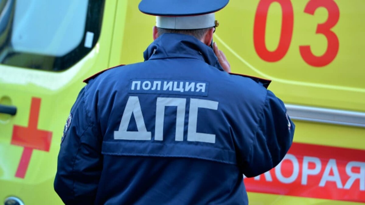 Фото: https://tvzvezda.ru/ (https://mcdn.tvzvezda.ru/storage/news_other_images/2023/12/09/8895aaafe4574c7ca2c9c4842ba52301.jpg)