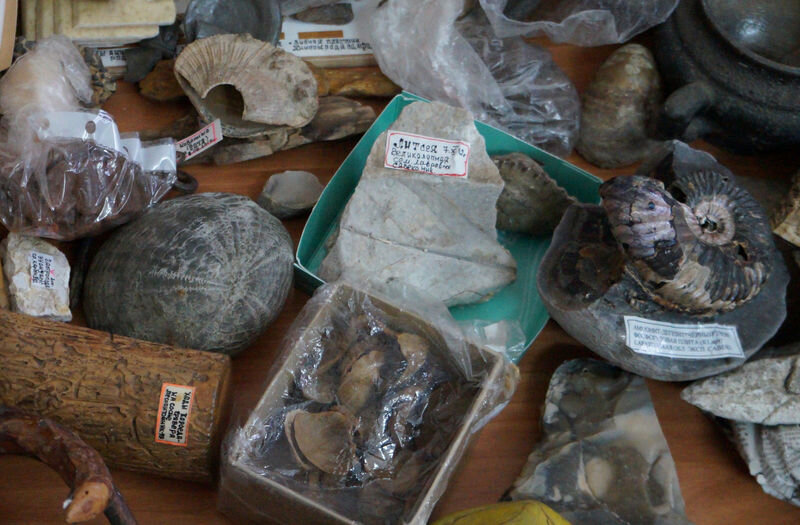    Часть отобранных древностей для проекта «Каменная магнолия» (фото: группа «Каменная магнолия» )