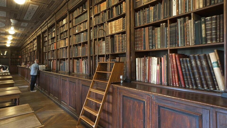 Фото: © Global Look Press/imageBROKER.com/Helmut Meyer zur Capellen