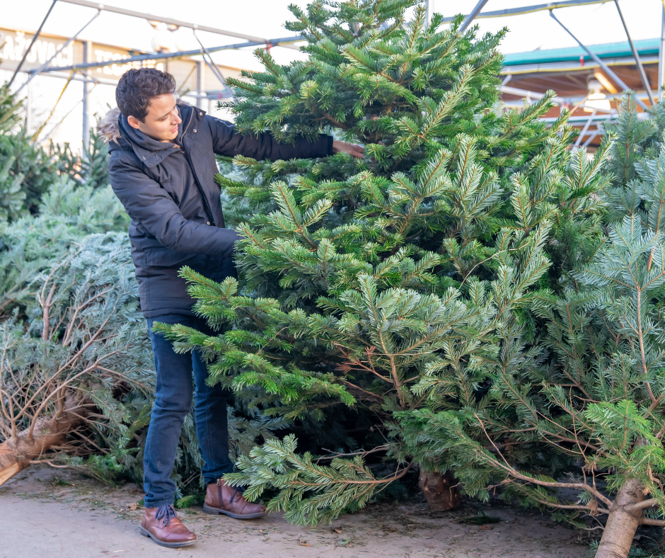 Фото: из открытых источников