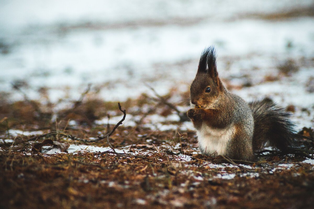 Martin Arusalu, Unsplash