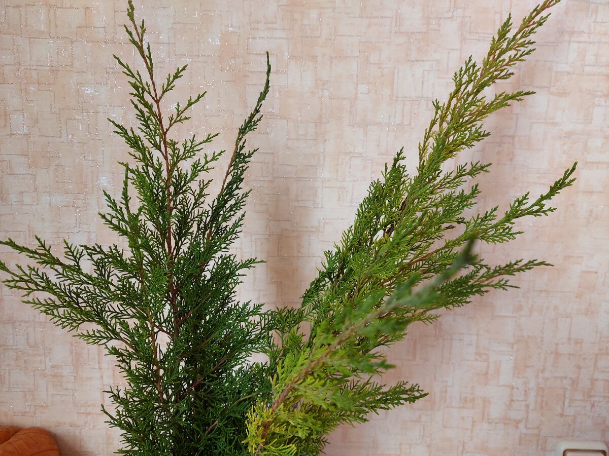 Фото автора жизнь в деревне