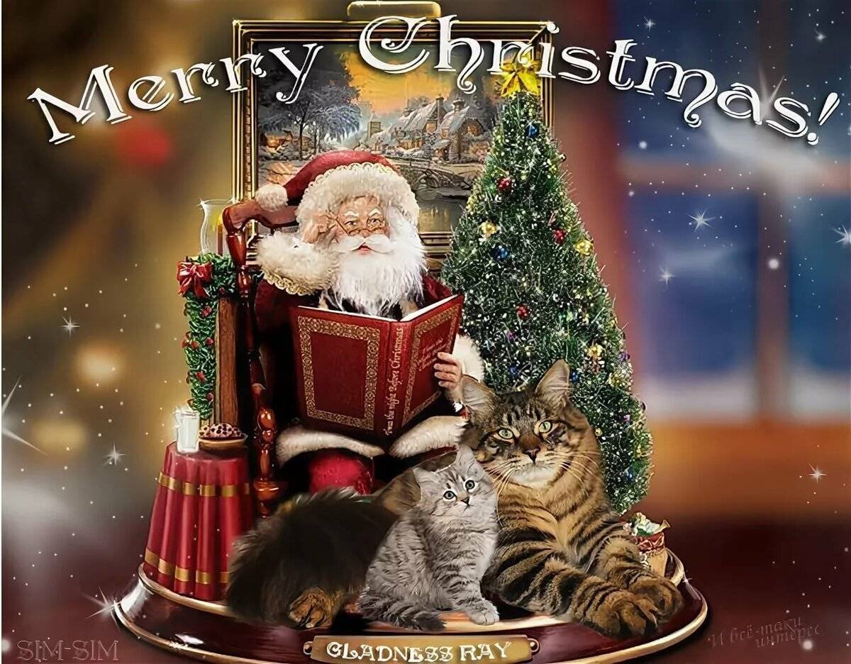 поздралве с рождеством. поздравление с католическим рождеством и новым годом. с рождеством католическим. с рождеством католическим. поздравление с католическим рождеством и новым годом.