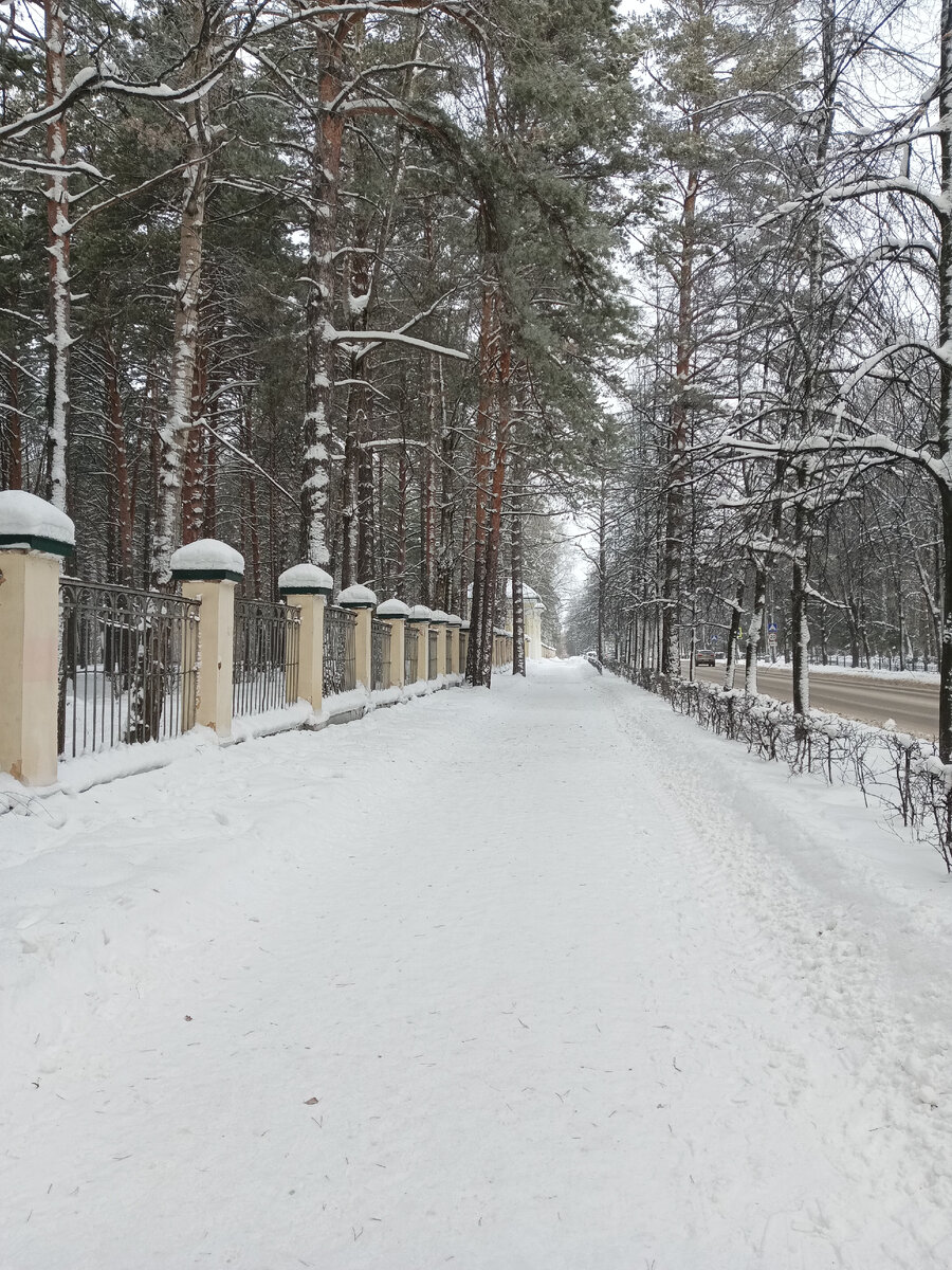 Северск, сразу заболела | История и жизнь: Крым-Севастополь | Дзен