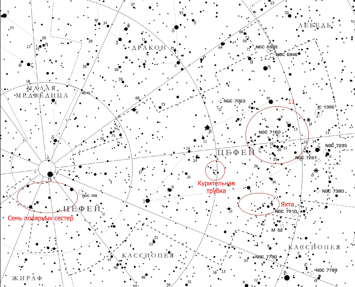 Карта астеризмов Цефея.